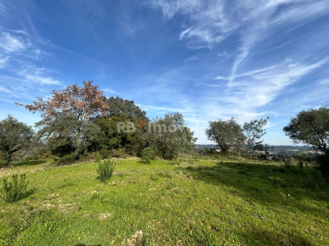 Terreno para Venda em Assentiz Foto 14
