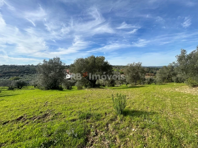 Terreno para Venda em Assentiz Foto 15