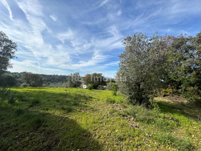 Terreno para Venda em Assentiz Foto 17