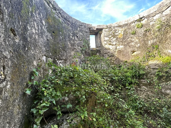 Terreno para Venda em Assentiz Foto 19