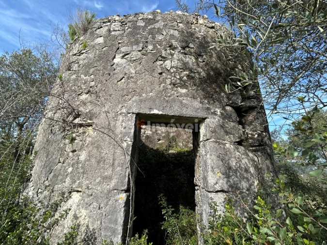 Terreno para Venda em Assentiz Foto 4