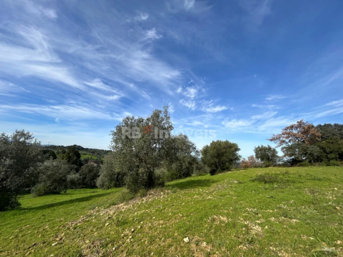 Terreno para Venda em Assentiz Foto 26
