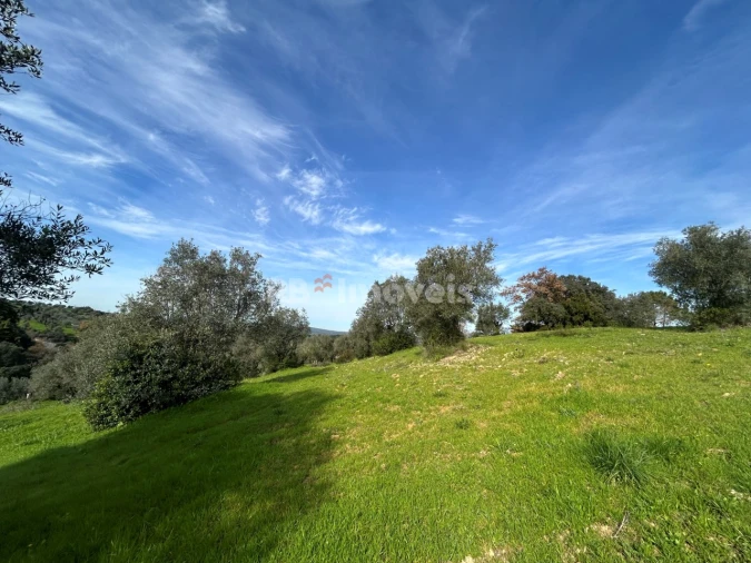 Terreno para Venda em Assentiz Foto 29