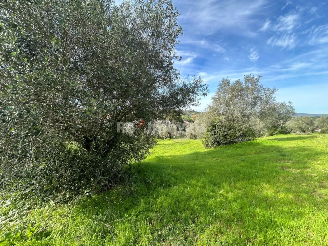 Terreno para Venda em Assentiz Foto 30