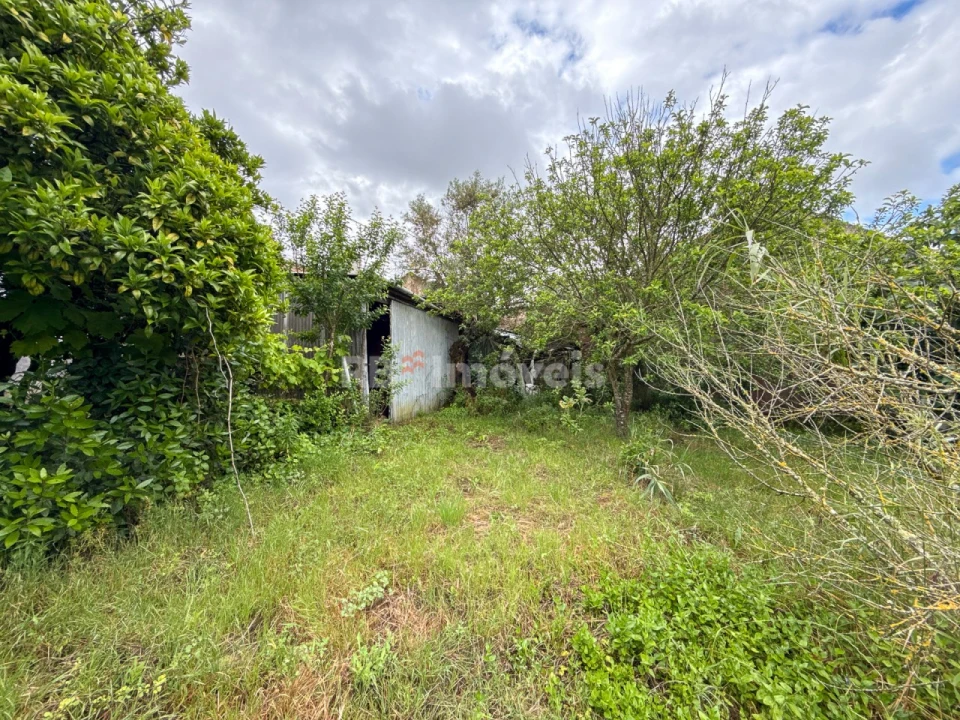 Moradia T2 para Venda em Madalena e Beselga Foto 26