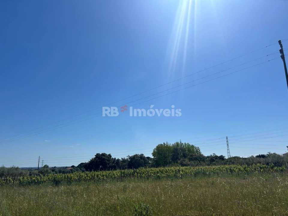 Terreno para Venda em Casais e Alviobeira Foto 2