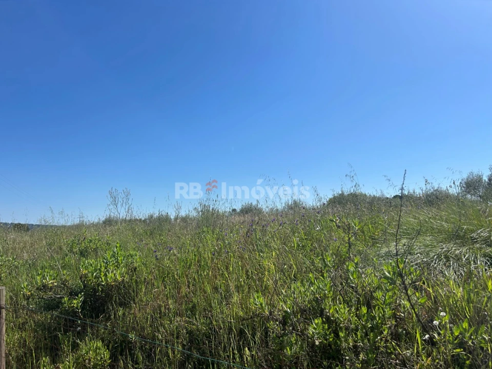 Terreno para Venda em Casais e Alviobeira Foto 5