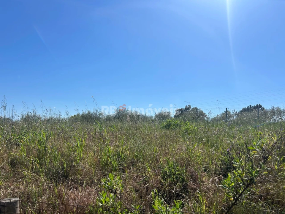 Terreno para Venda em Casais e Alviobeira Foto 9