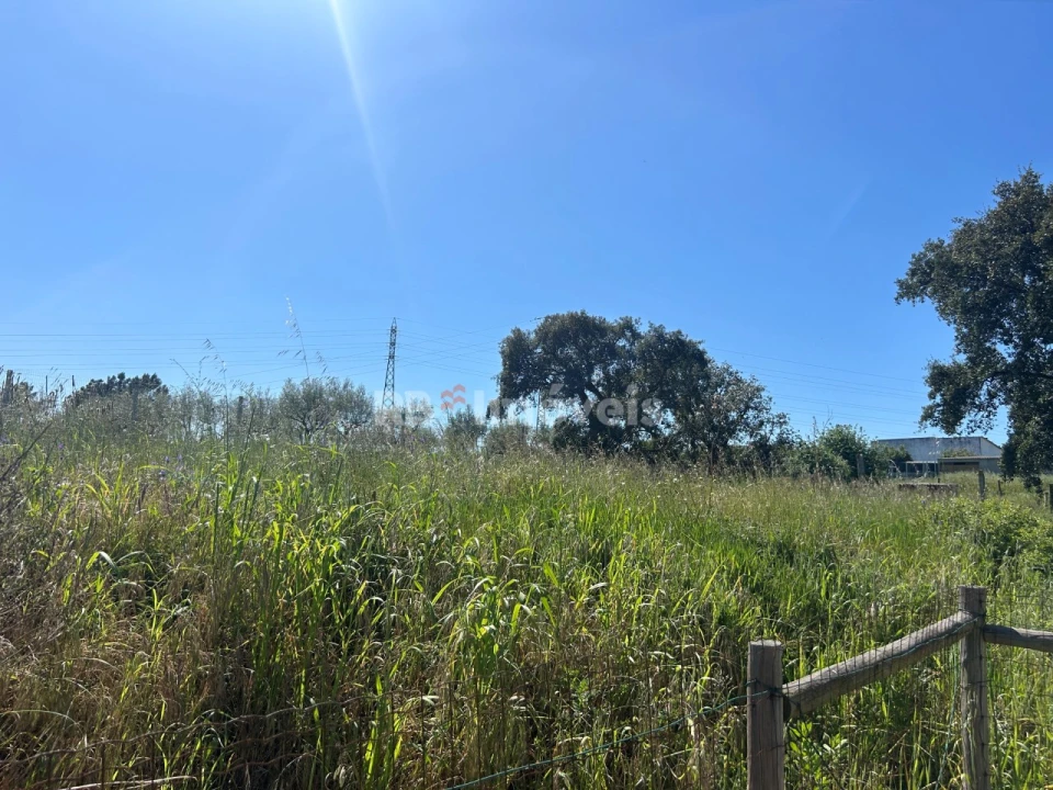 Terreno para Venda em Casais e Alviobeira Foto 11