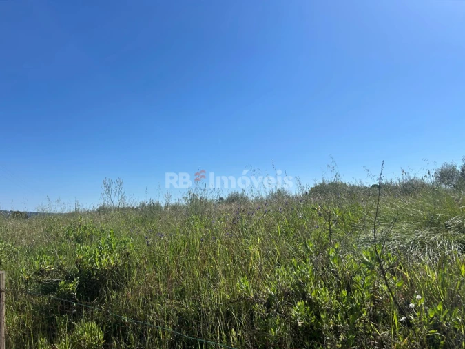 Terreno para Venda em Casais e Alviobeira Foto 5