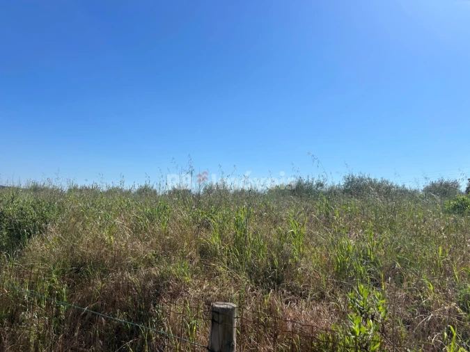 Terreno para Venda em Casais e Alviobeira Foto 8