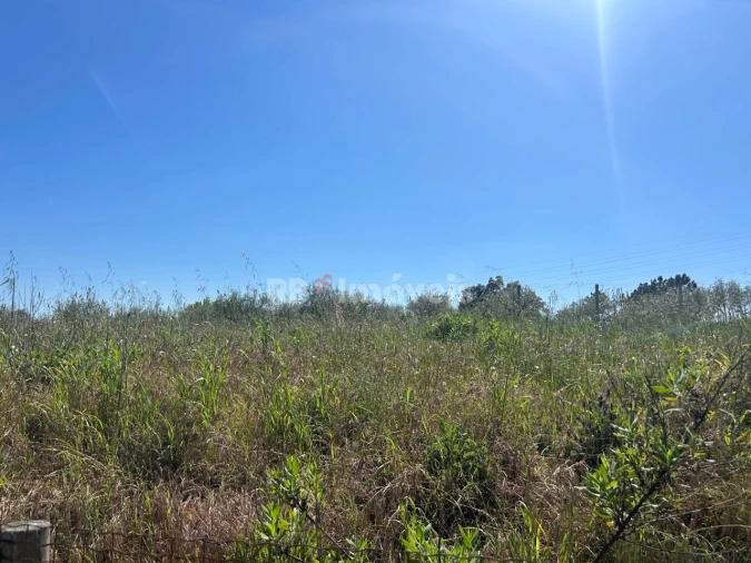 Terreno para Venda em Casais e Alviobeira Foto 9