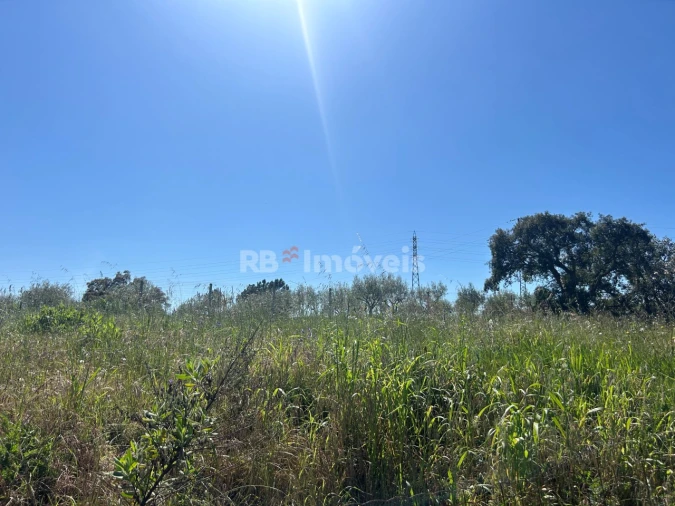 Terreno para Venda em Casais e Alviobeira Foto 10