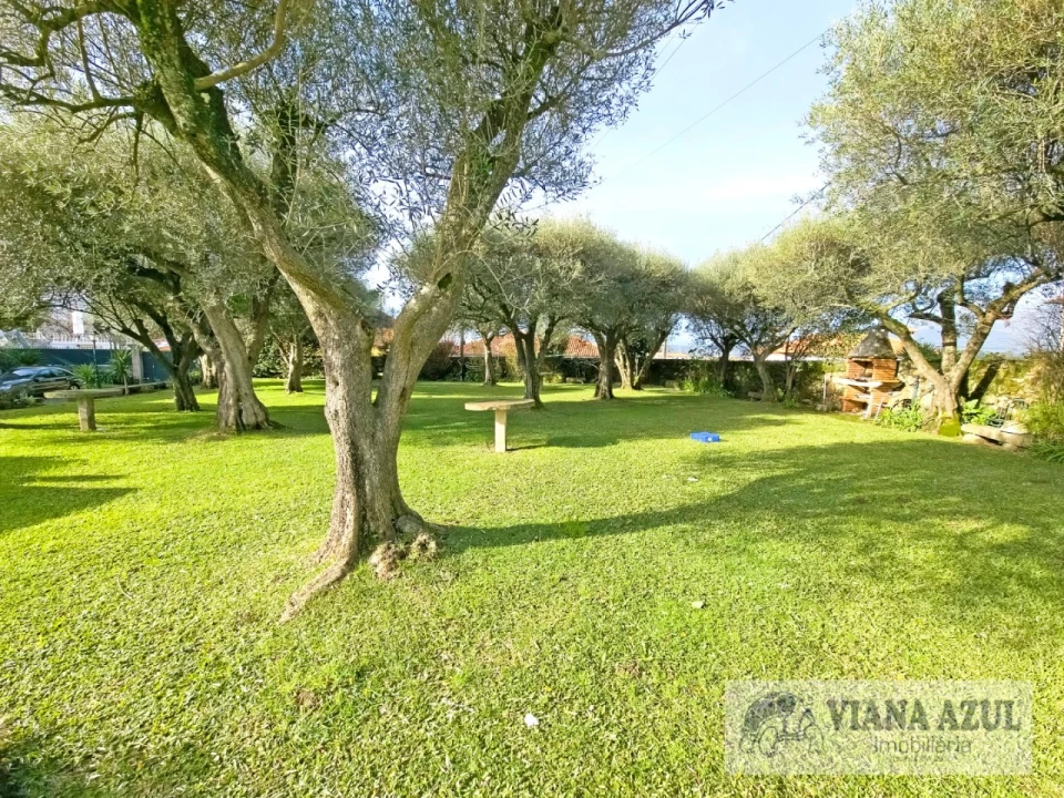 Quinta T8 para Venda em Correlhã Foto 48