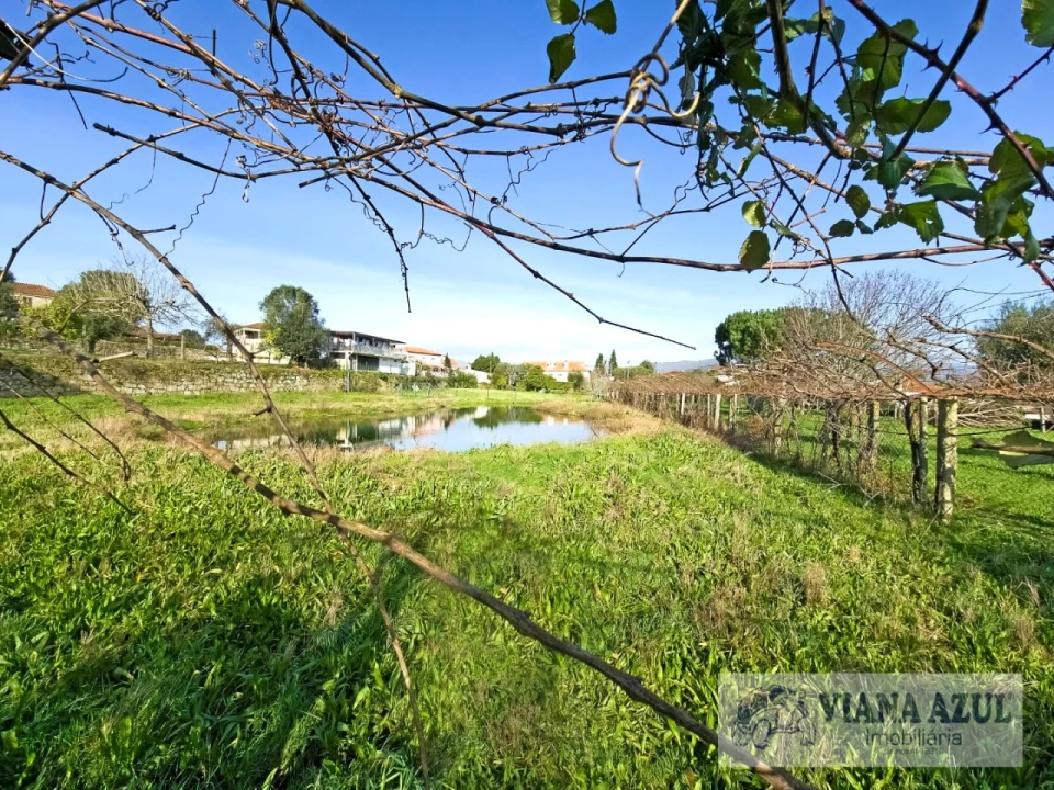 Quinta T8 para Venda em Correlhã Foto 55