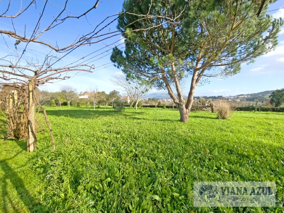 Quinta T8 para Venda em Correlhã Foto 61