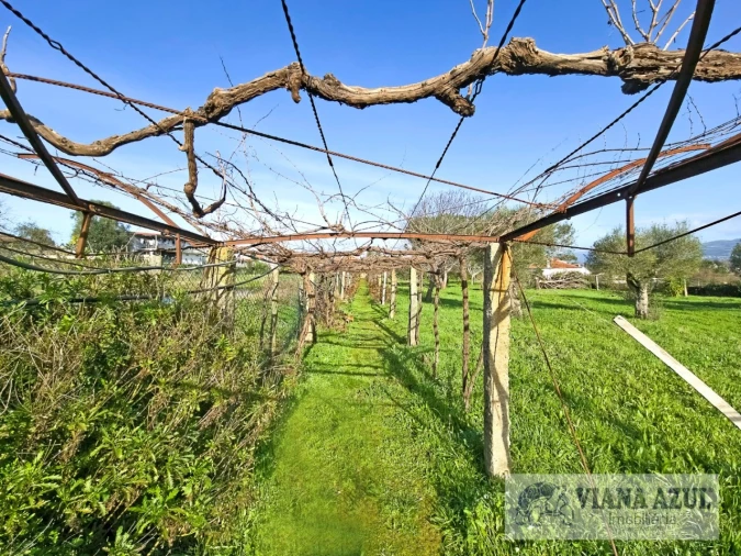 Quinta T8 para Venda em Correlhã Foto 60