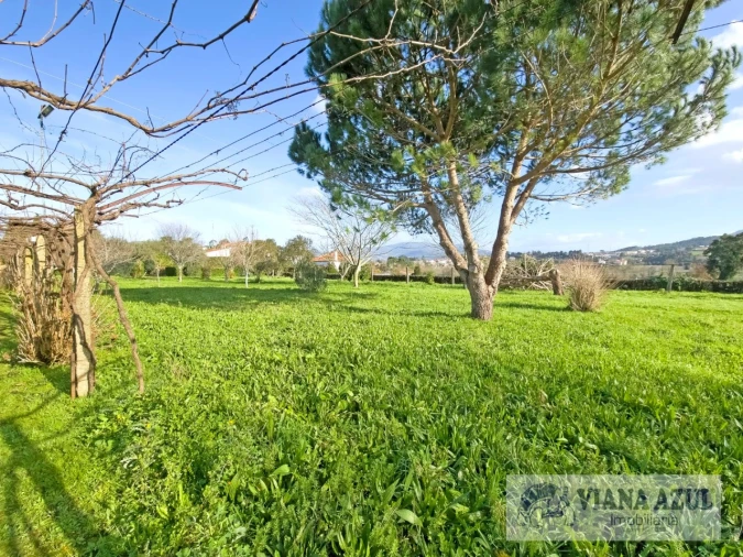 Quinta T8 para Venda em Correlhã Foto 61