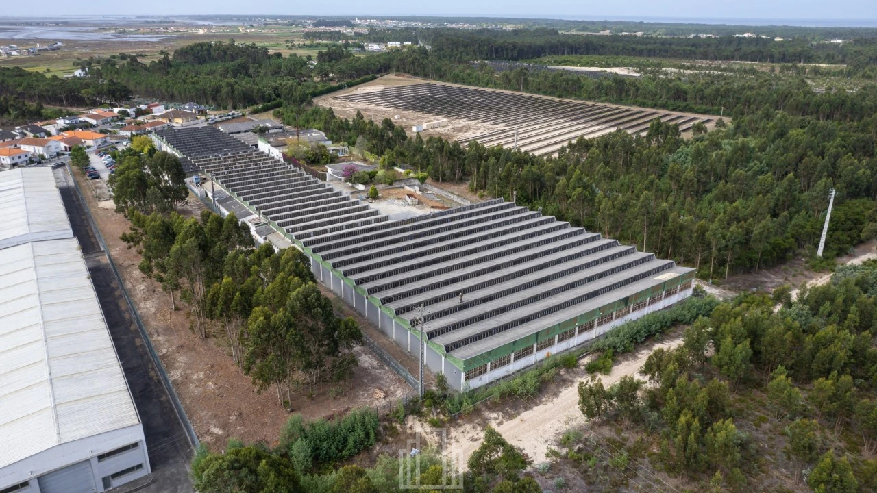Armazém para Venda em Ovar, São João, Arada e São Vicente de Pereira Jusã Foto 5