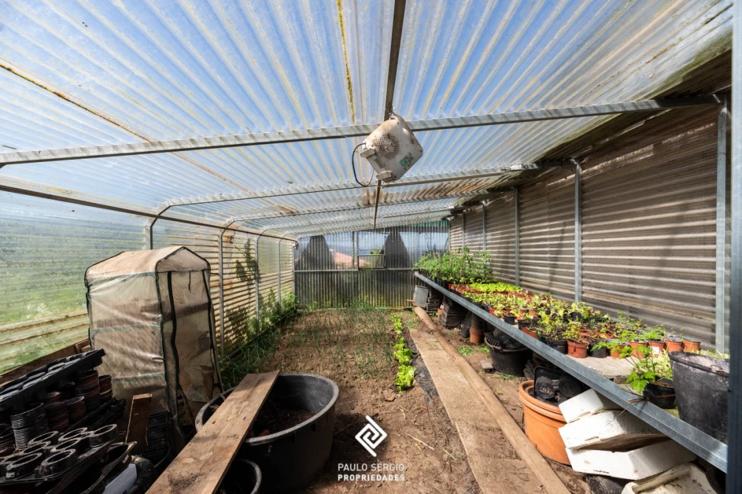 Moradia T4 para Venda em Raiva, Pedorido e Paraíso Foto 28