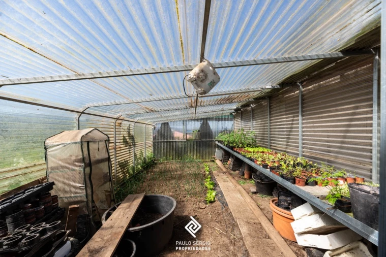 Moradia T4 para Venda em Raiva, Pedorido e Paraíso Foto 28