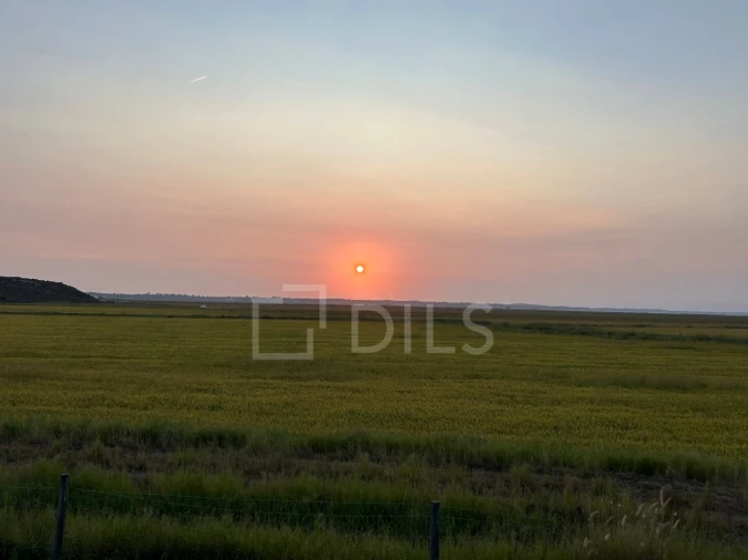 Moradia T4 para Venda em Comporta Foto 18