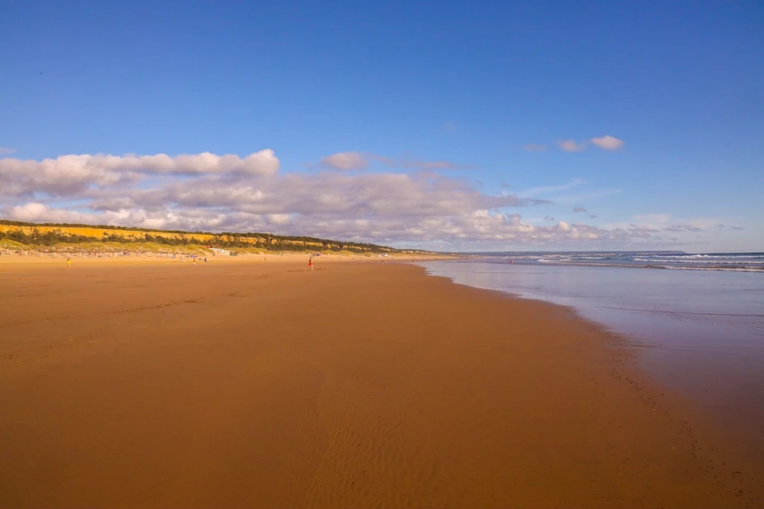 Terreno para Venda em Charneca de Caparica e Sobreda Foto 7