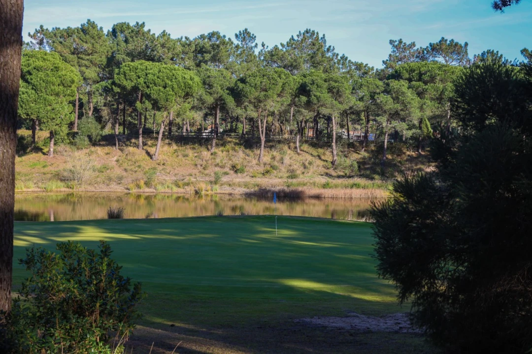 Terreno para Venda em Charneca de Caparica e Sobreda Foto 8