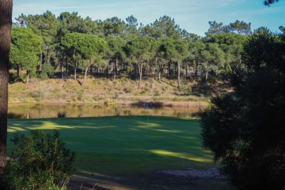 Terreno para Venda em Charneca de Caparica e Sobreda