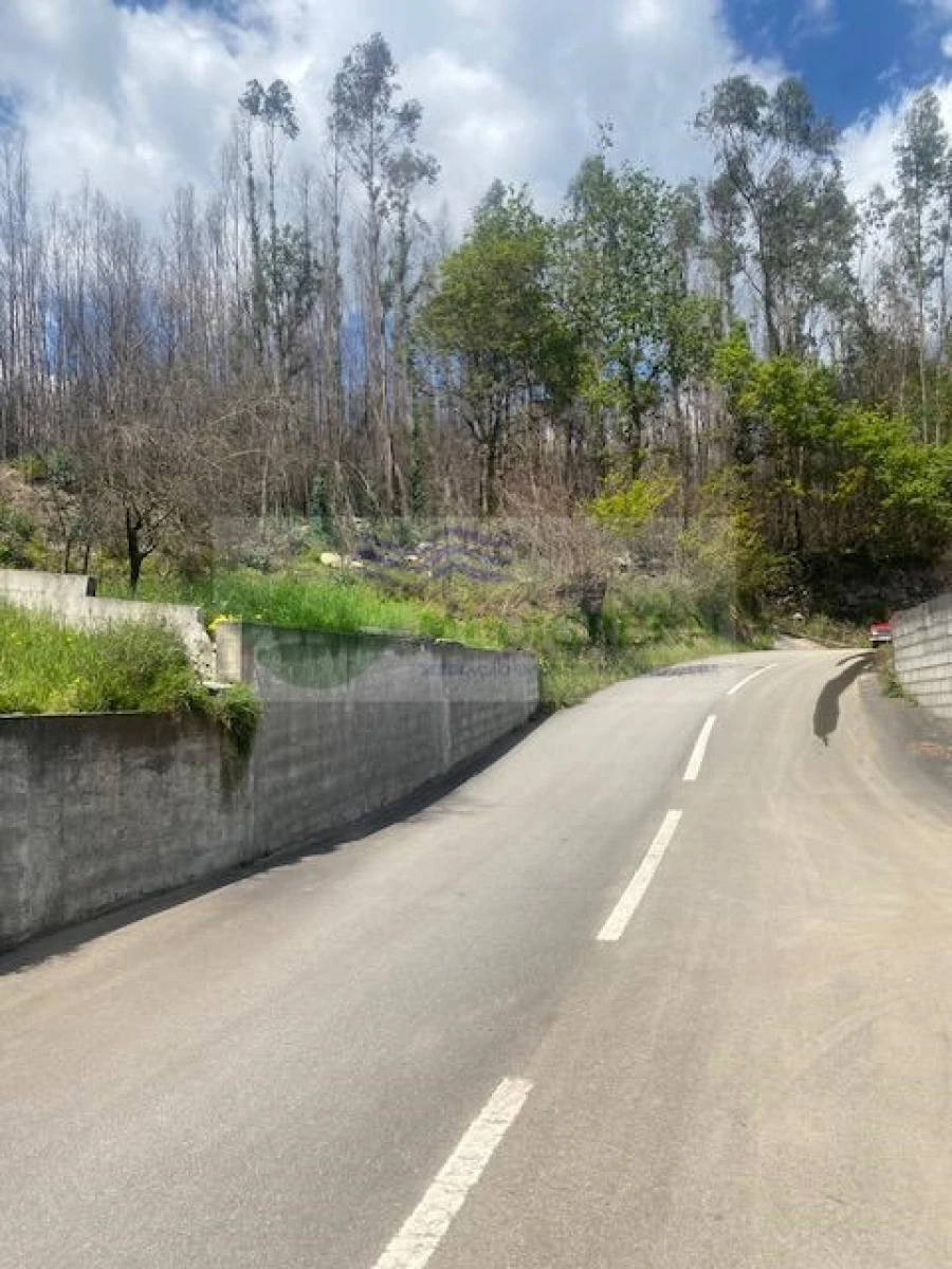 Terreno para Venda em Pessegueiro do Vouga Foto 11