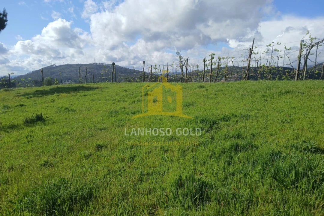 Terreno Agricola ou Rústico para Venda em Calvos e Frades Foto 1