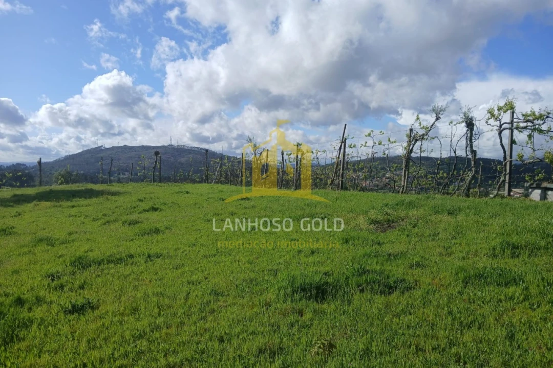 Terreno Agricola ou Rústico para Venda em Calvos e Frades Foto 7