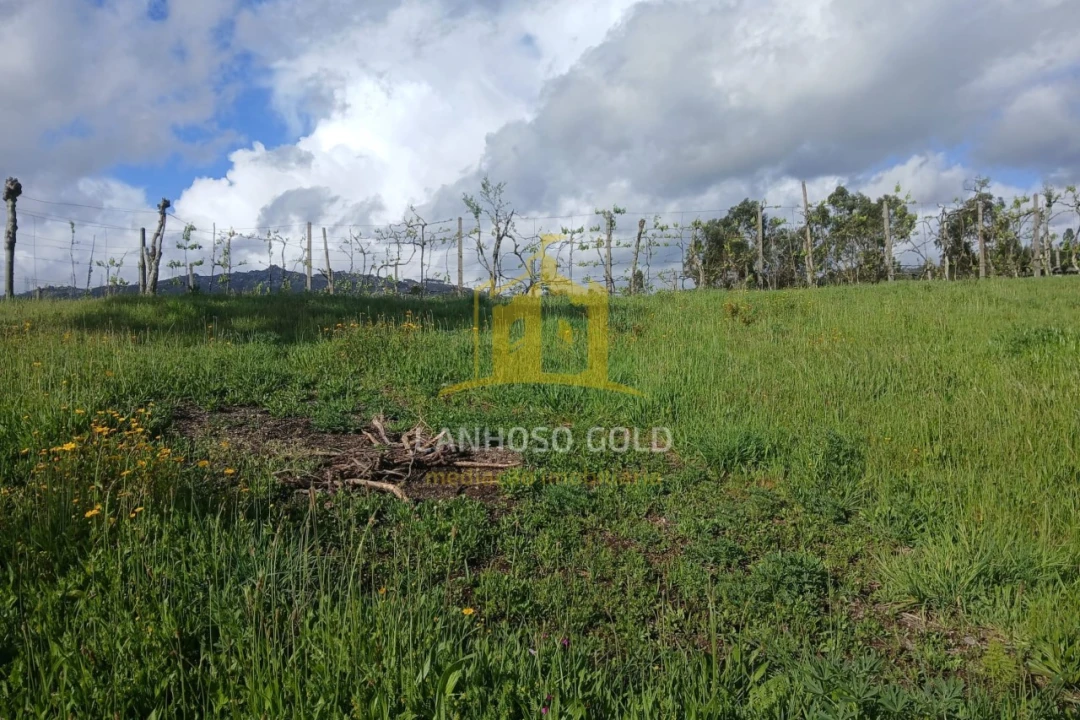 Terreno Agricola ou Rústico para Venda em Calvos e Frades Foto 2