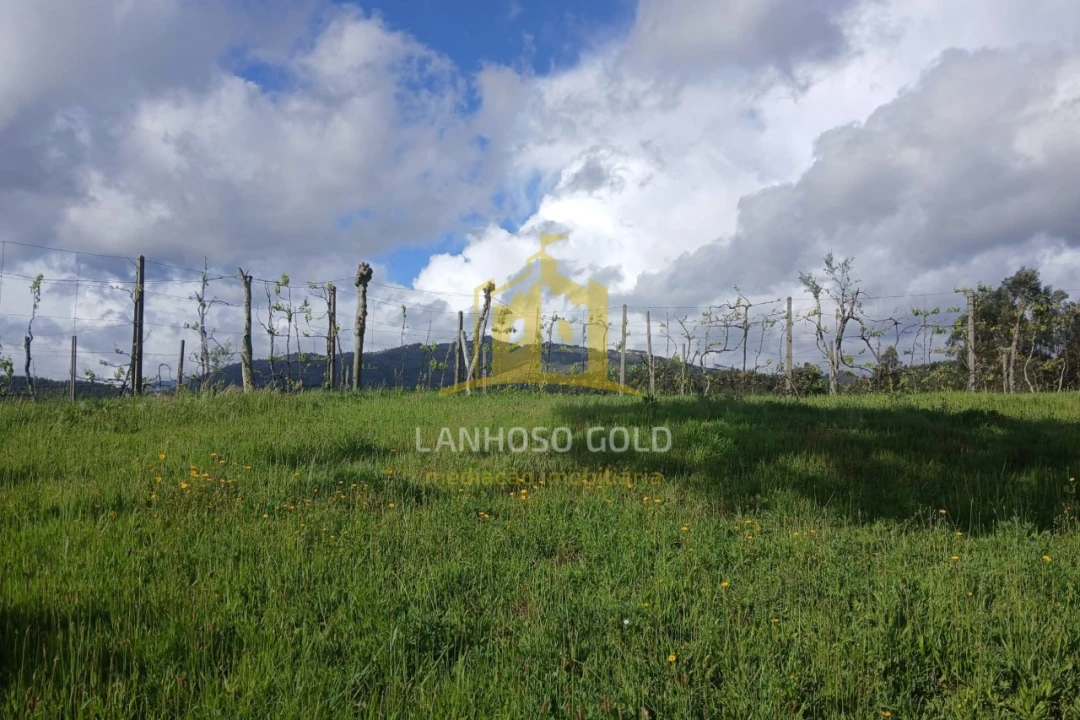 Terreno Agricola ou Rústico para Venda em Calvos e Frades Foto 11