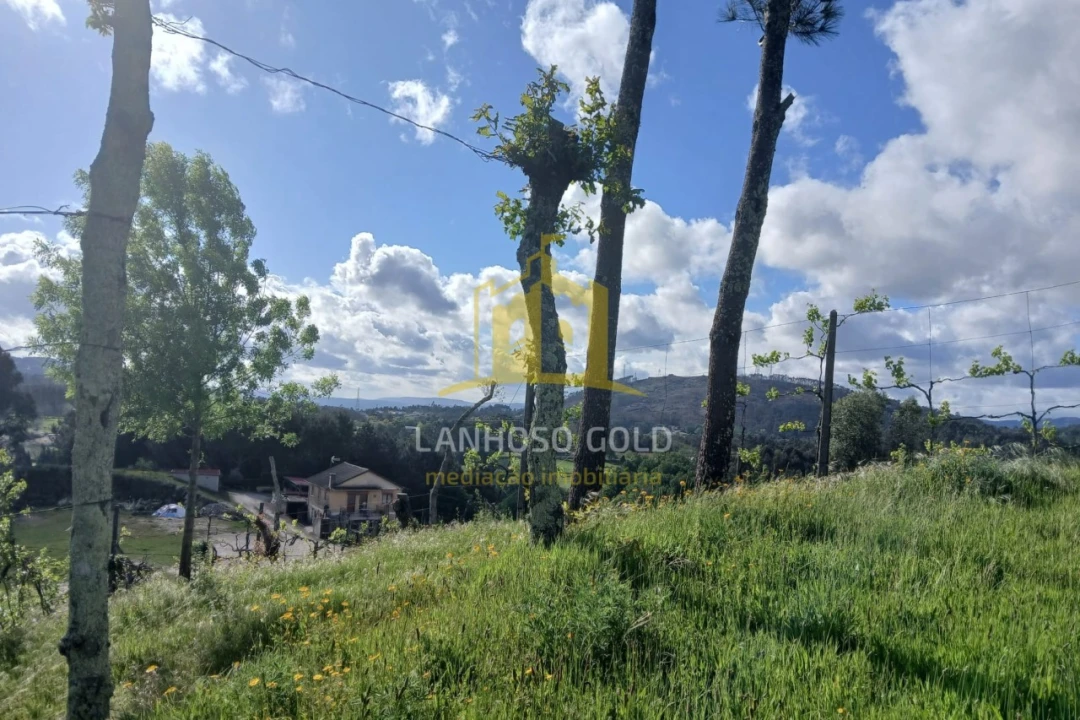 Terreno Agricola ou Rústico para Venda em Calvos e Frades Foto 12