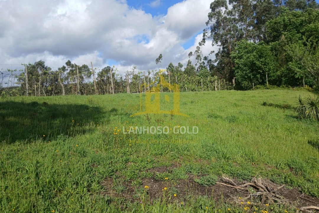 Terreno Agricola ou Rústico para Venda em Calvos e Frades Foto 13