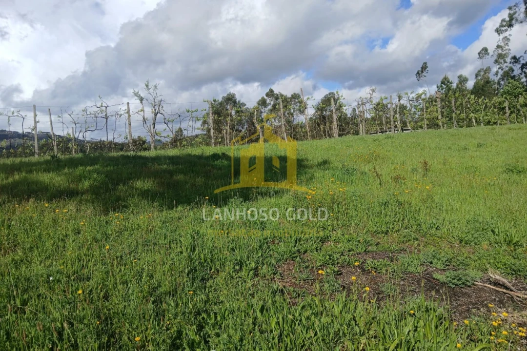 Terreno Agricola ou Rústico para Venda em Calvos e Frades Foto 14