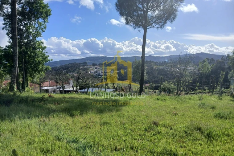 Terreno Agricola ou Rústico para Venda em Calvos e Frades Foto 6