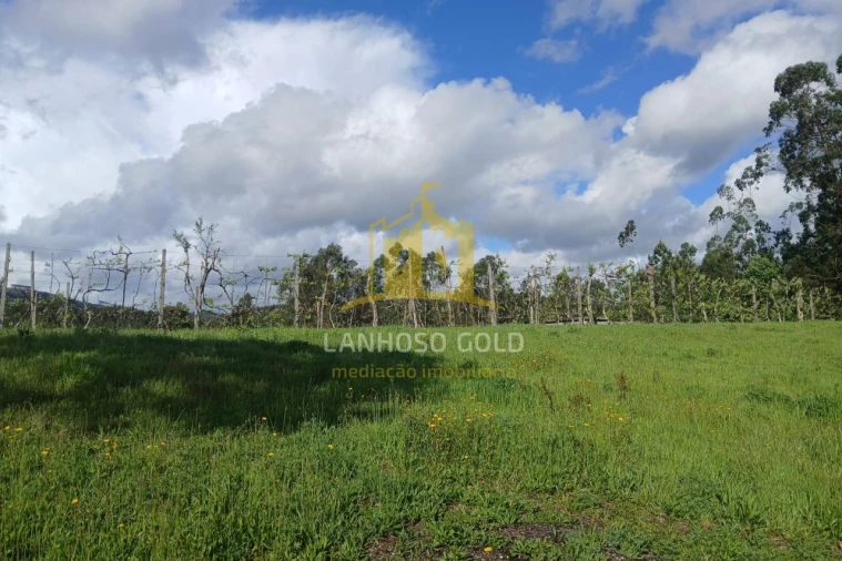 Terreno Agricola ou Rústico para Venda em Calvos e Frades Foto 10