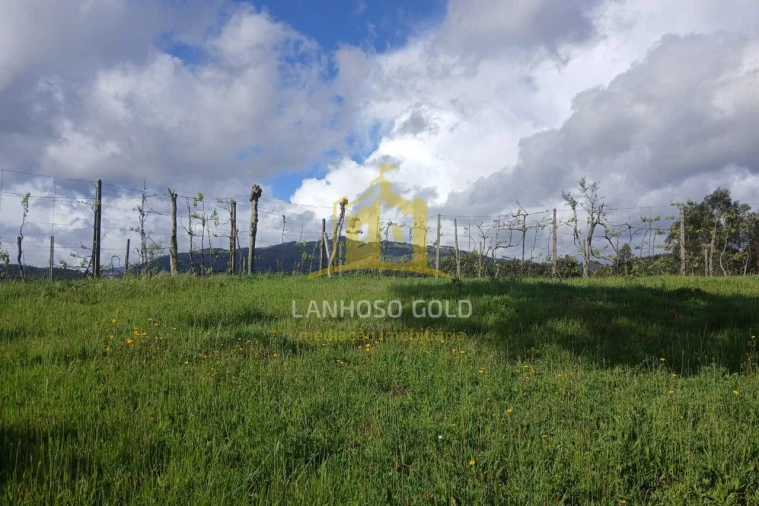 Terreno Agricola ou Rústico para Venda em Calvos e Frades Foto 11