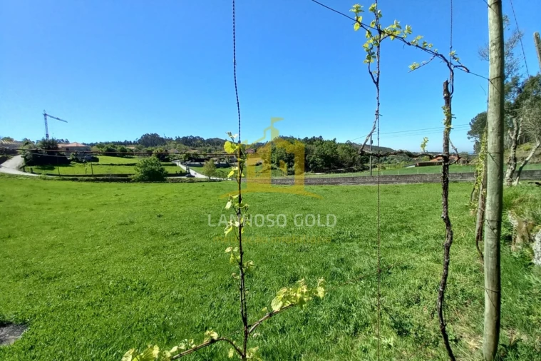 Apartamento T3 para Venda em Anjos e Vilar do Chão Foto 15