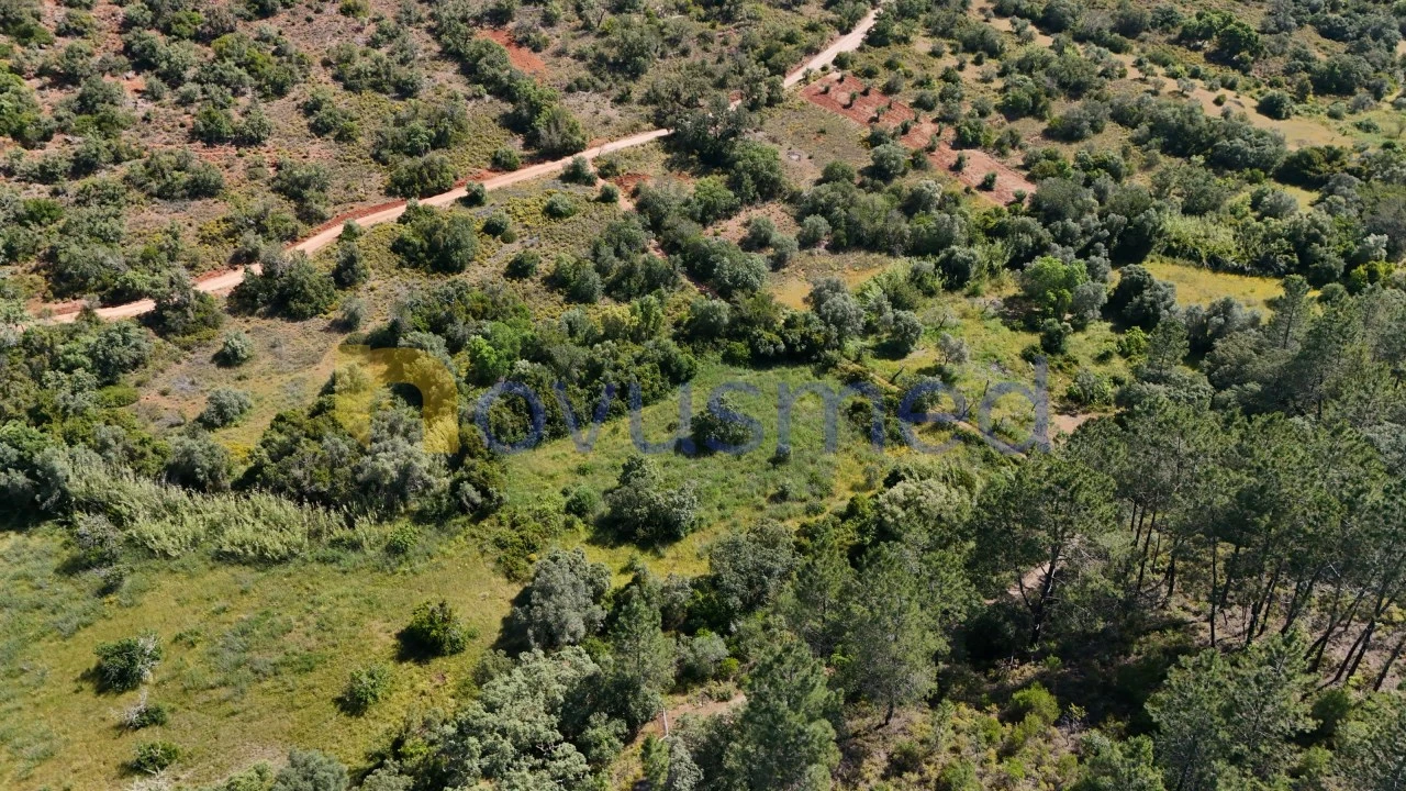 Terreno Agricola ou Rústico para Venda em Querença, Tôr e Benafim Foto 4