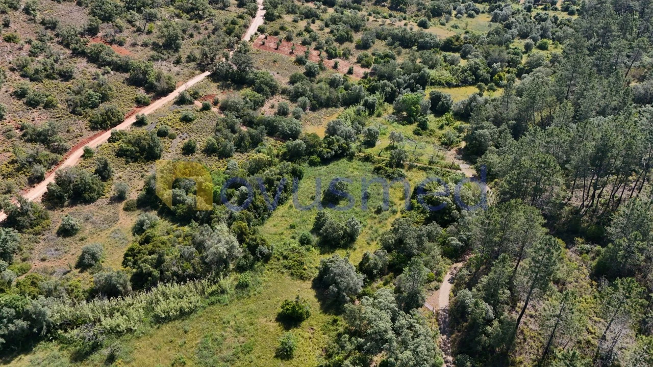Terreno Agricola ou Rústico para Venda em Querença, Tôr e Benafim Foto 5