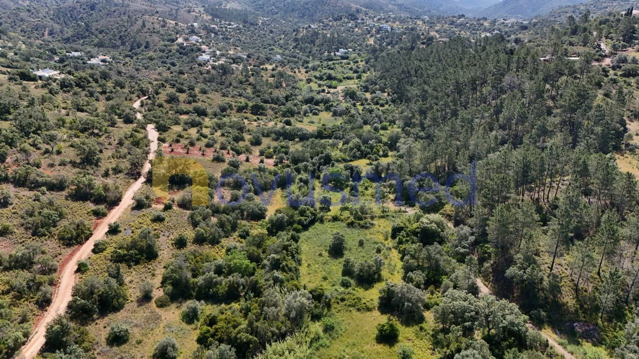Terreno Agricola ou Rústico para Venda em Querença, Tôr e Benafim Foto 8