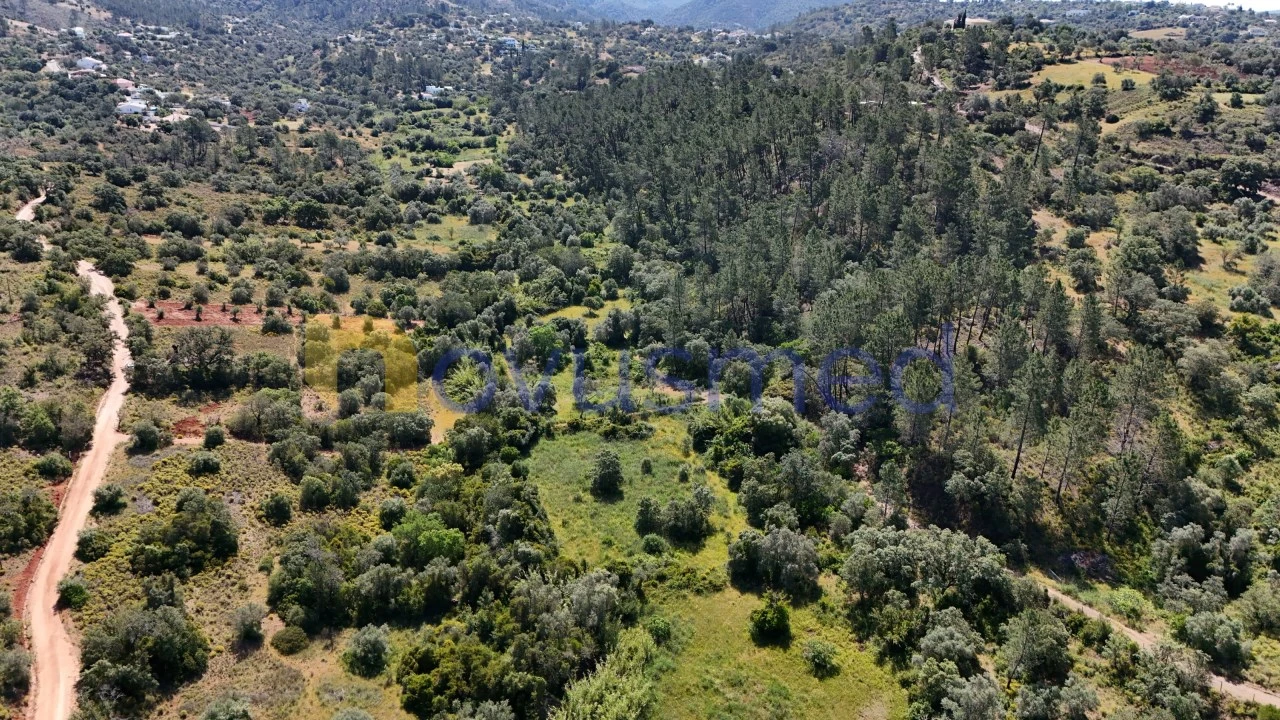 Terreno Agricola ou Rústico para Venda em Querença, Tôr e Benafim Foto 9