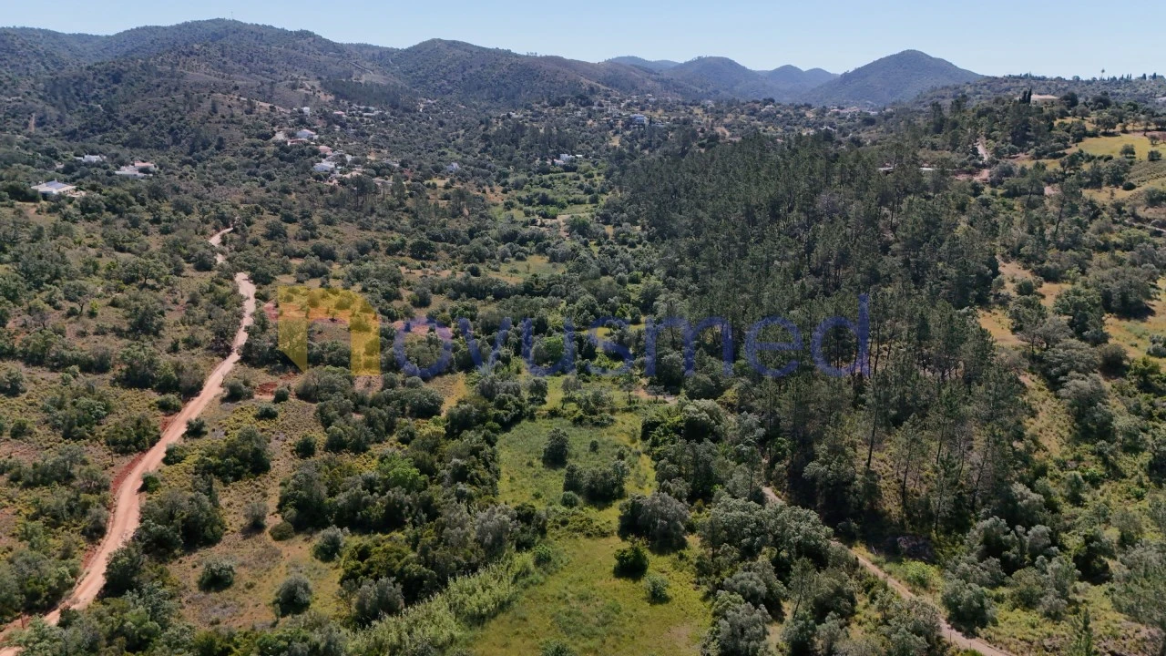 Terreno Agricola ou Rústico para Venda em Querença, Tôr e Benafim Foto 11