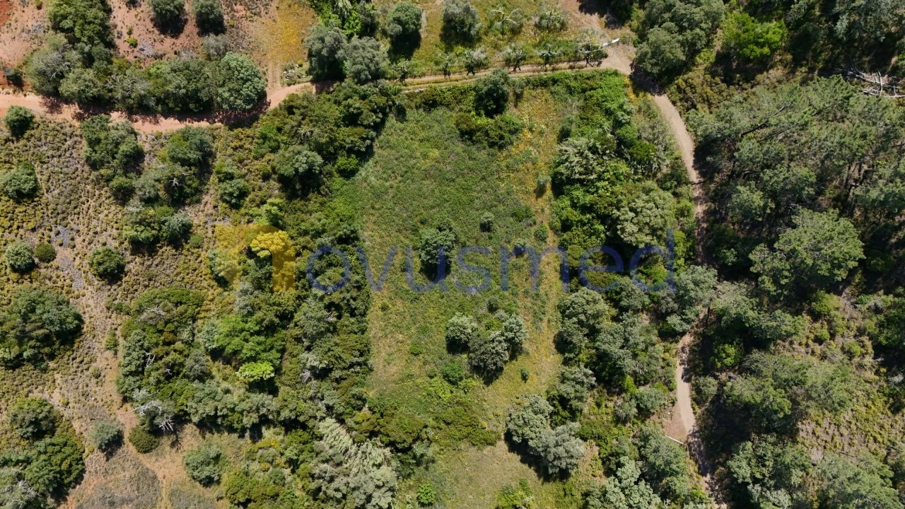 Terreno Agricola ou Rústico para Venda em Querença, Tôr e Benafim Foto 2