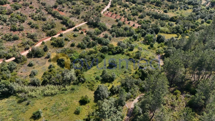 Terreno Agricola ou Rústico para Venda em Querença, Tôr e Benafim Foto 3