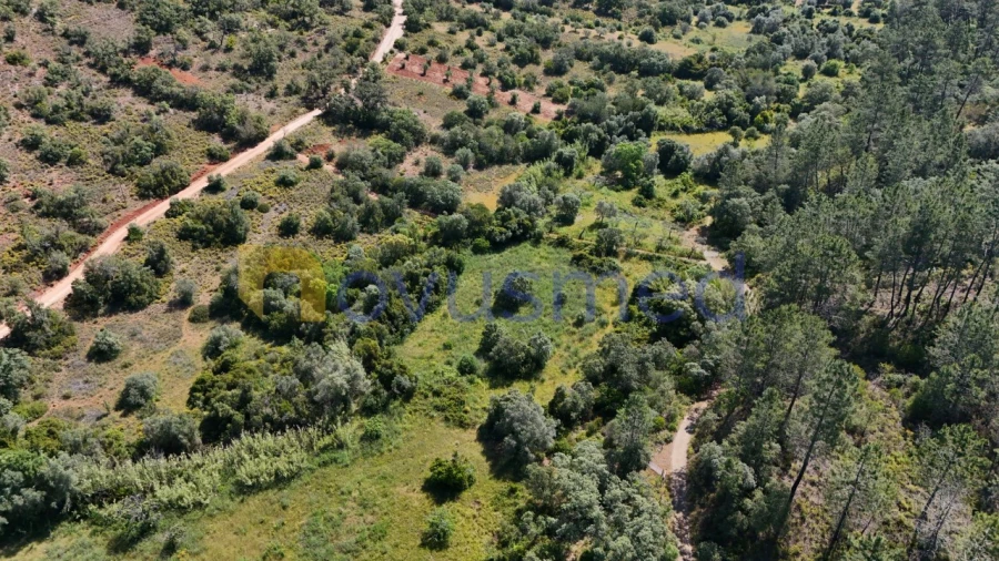 Terreno Agricola ou Rústico para Venda em Querença, Tôr e Benafim Foto 5