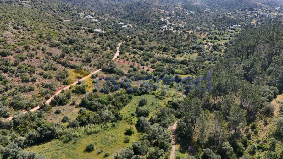 Terreno Agricola ou Rústico para Venda em Querença, Tôr e Benafim Foto 7
